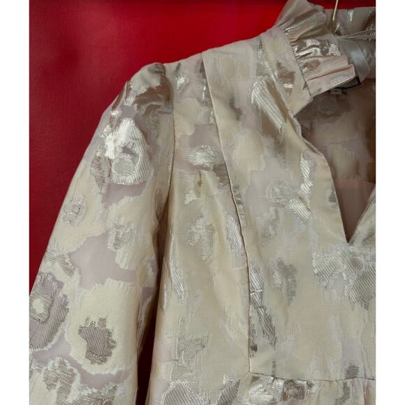 Tuckernuck Champagne Fil Coupe Palmerston Dress Size Small - Picture 9 of 14